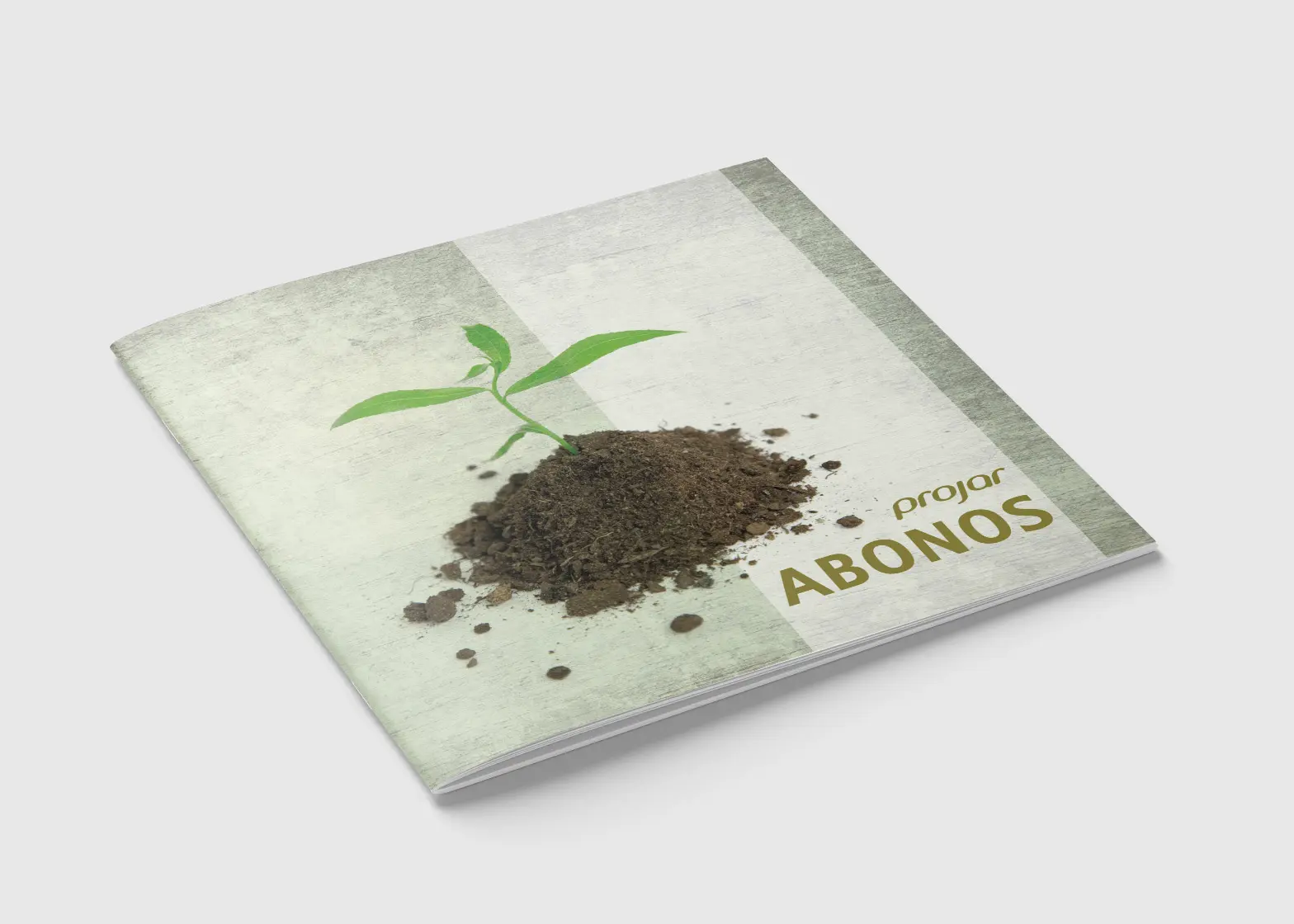 Diseño gráfico