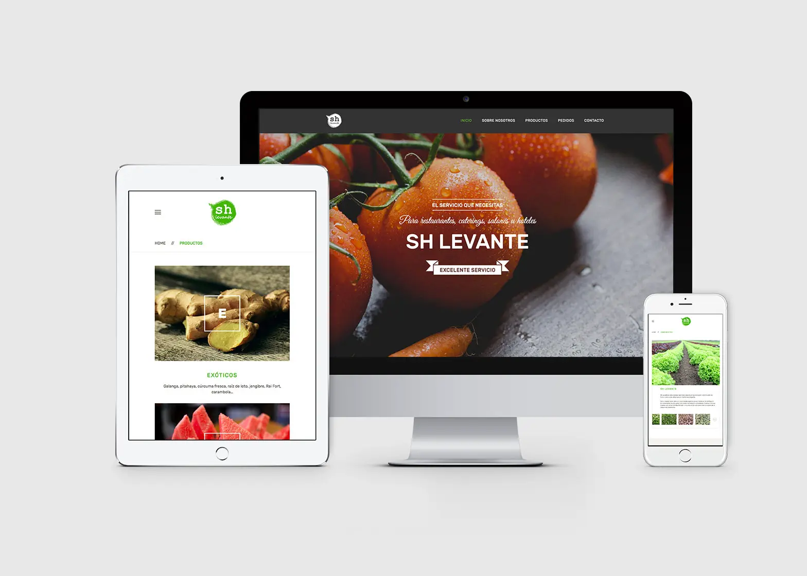 Diseño de páginas web en Valencia. Tiendas online Valencia. Yogur de Fresa