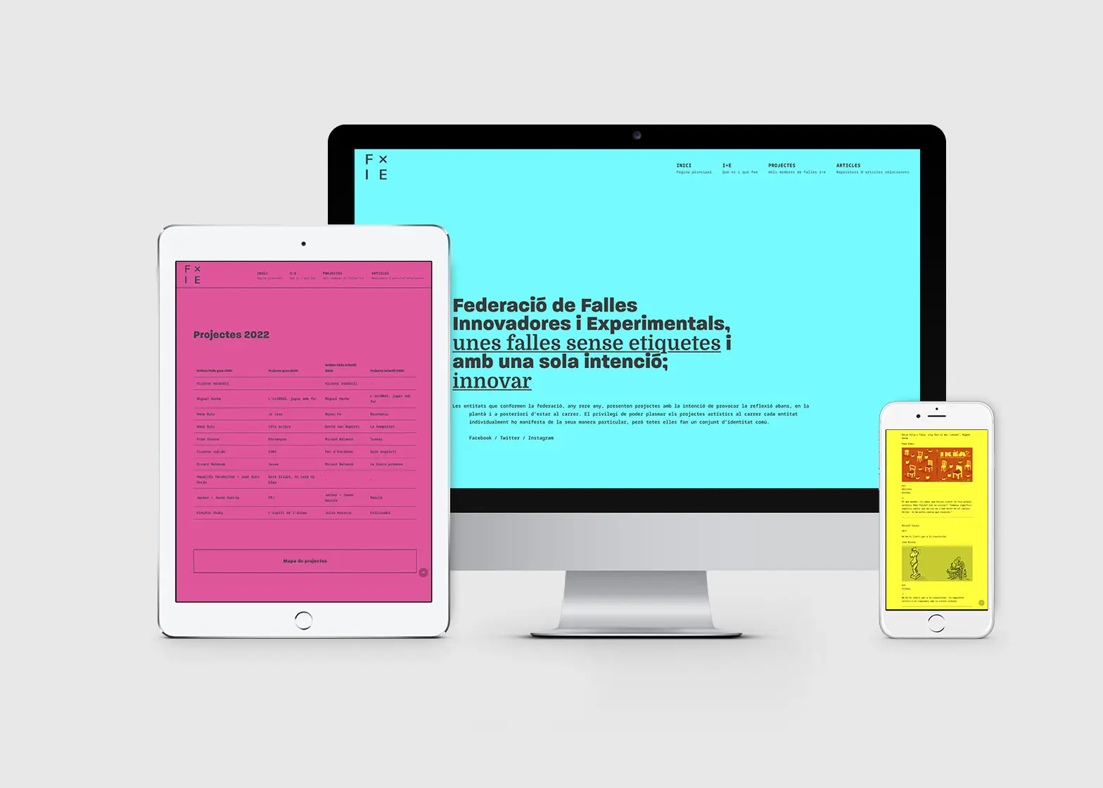 Página web de la Federació de Falles i+e. Páginas web Valencia.